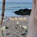 Offering without online payment (No Fees): Proposal & Picnic by The Boho Barn in New York