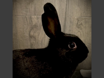   : Ellie