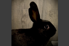   : Ellie