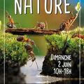 News: Grandeur NATURE à Sartrouville le dimanche 2 juin