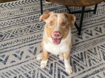   : Milo