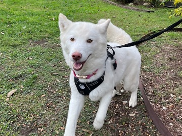   : Luna
