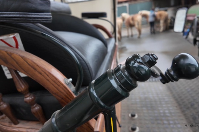 Fotografie und Filmografie Back in Life
