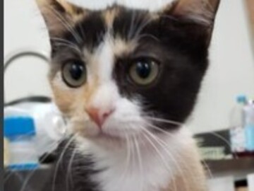   : Sally