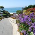 Daily Rentals: Laguna Beach CA, Crescent Bay & PCH. Perfect Location