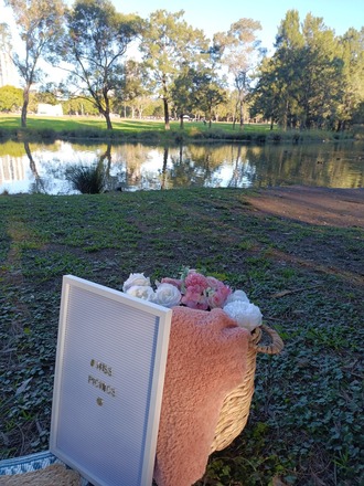 Sydney luxury picnics 