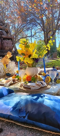 Sydney luxury picnics 