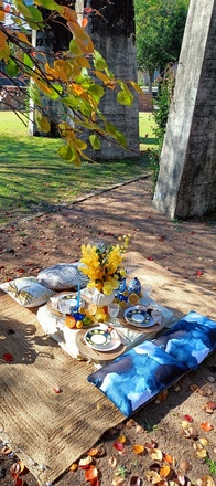 Sydney luxury picnics 