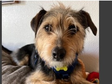   : Jack
