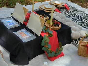Offering with deposit : Paint Picnic in Tampa