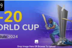 Make An Offer: Diamondexch9:  most trusted betting ID for T20 World Cup