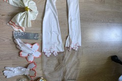 Selling with online payment: Miccostumes x akuoart Princess Daisy