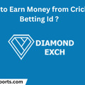 Comprar ahora: How to Earn Money from Cricket Betting Id ?