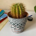 Don: Cactus