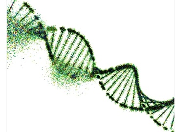 Selling: ✨ DNA Activation ✨