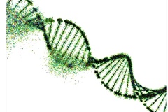 Selling: ✨ DNA Activation ✨