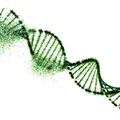 Selling: ✨ DNA Activation ✨