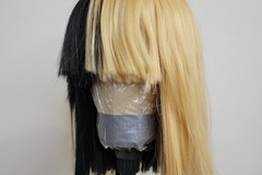 Selling with online payment: Split Dye Wig
