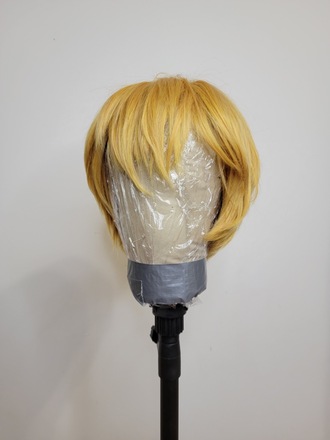 Short Blonde Wig