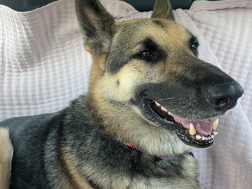   : Luna 