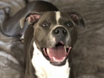   : Kona