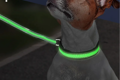 Buy Now: Pet Collar Dog LED Luminous Nylon Mesh Type-c Charging Port 
