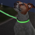 Comprar ahora: Pet Collar Dog LED Luminous Nylon Mesh Type-c Charging Port 