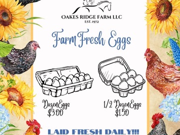 Selling with In-person Payment: Free Range Hand Gathered Eggs