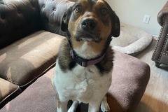   : Jayci