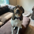   : Jayci