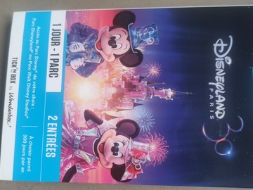 Vente: Tick'nBox "Disneyland® Paris - Journée en duo - 1 parc" (188€)