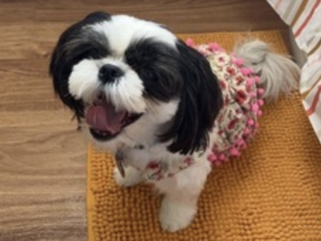   : Sadie Mae