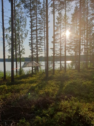 Vuokrataan Tentsile Stingray puumajoite 