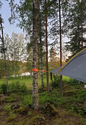 Vuokrataan Tentsile Stingray puumajoite 