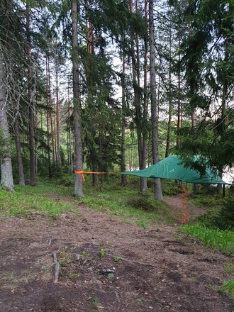 Vuokrataan Tentsile Stingray puumajoite 