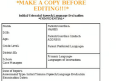 Digital Resource: Neurodiversity and Disability Affirming IEP Template