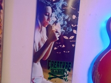 Selling with online payment: Creature babes malice 45/200 and 14/200
