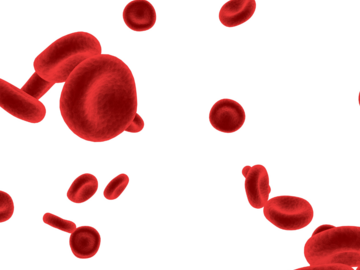 Wellness Session Single: Personalized Blood Chemistry Analysis With Jacqui
