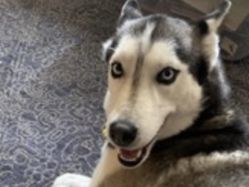   : Luna