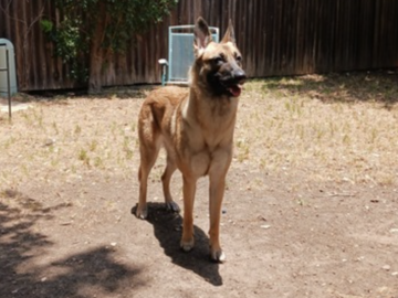   : Nina