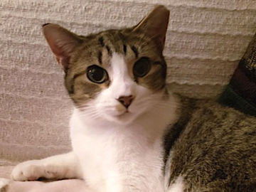   : Chloe