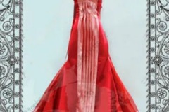 In Search Of: Sailor Mars Princess
