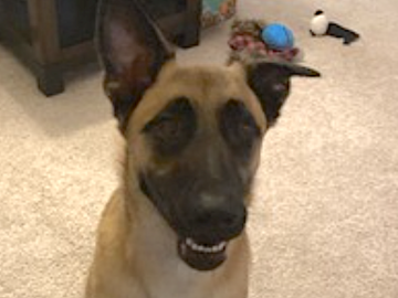   : Rambo