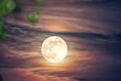 Selling: FULL MOON SPELL - CLEAR THE BLOCKS 