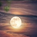 Selling: FULL MOON SPELL - CLEAR THE BLOCKS 