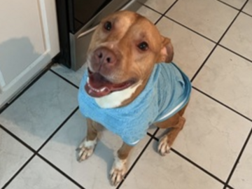   : Coco