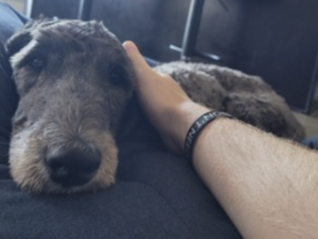   : Moose