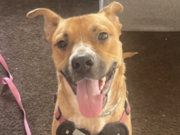   : Nyla