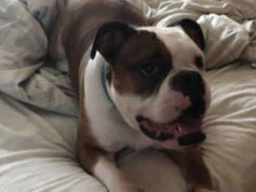   : Leeloo 