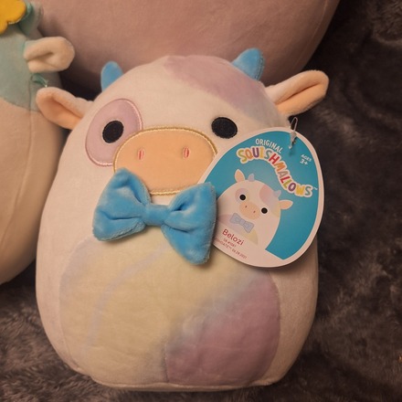 Original Squishmallow Cow Assortment 